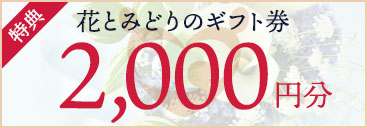 花とみどりのギフト券